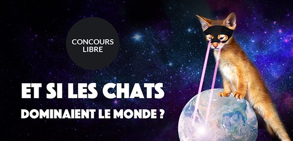 et si les chats dominent le monde