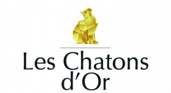Les chatons d'or