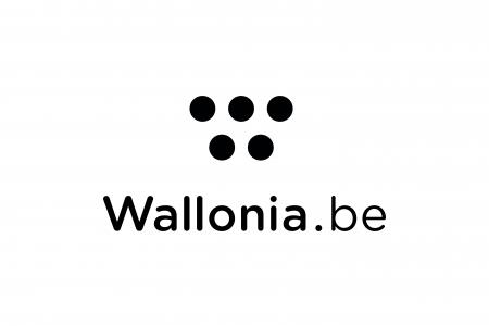 logo-wallonie-rudy-vermotte