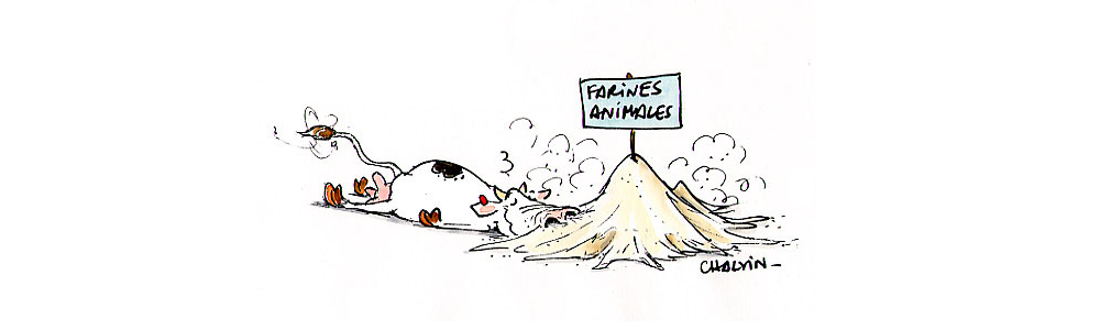 Talent à Suivre : Marc Chalvin, Illustrateur de dessins de presse