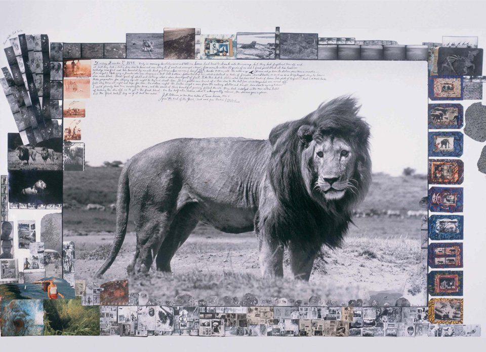 L'oeuvre de Peter Beard, que Kreagrafika apprécie particulièrement.