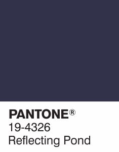 pantone bleu foncé