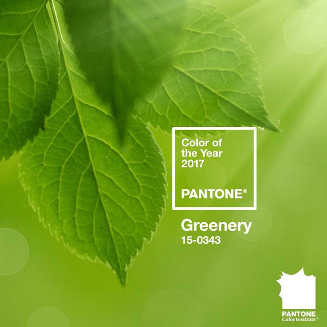 Décryptage de la couleur de l'année 2017 désignée par Pantone