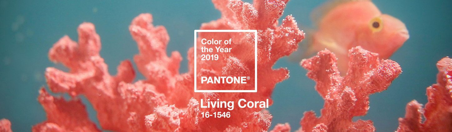 Et la couleur tendance 2019 est... Living Coral de Pantone !