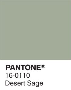 Pantone gris-vert