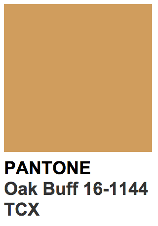 pantone marron clair