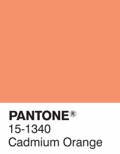 pantone orange