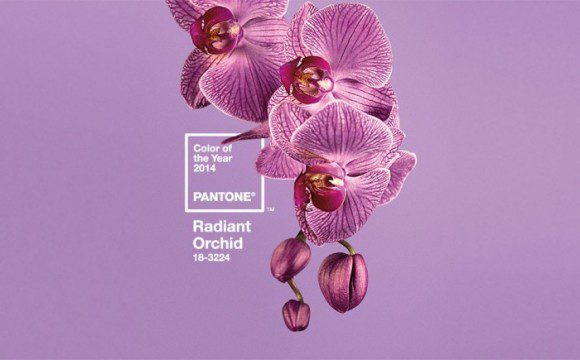 Radiant Orchid, la couleur de de l'été 2014