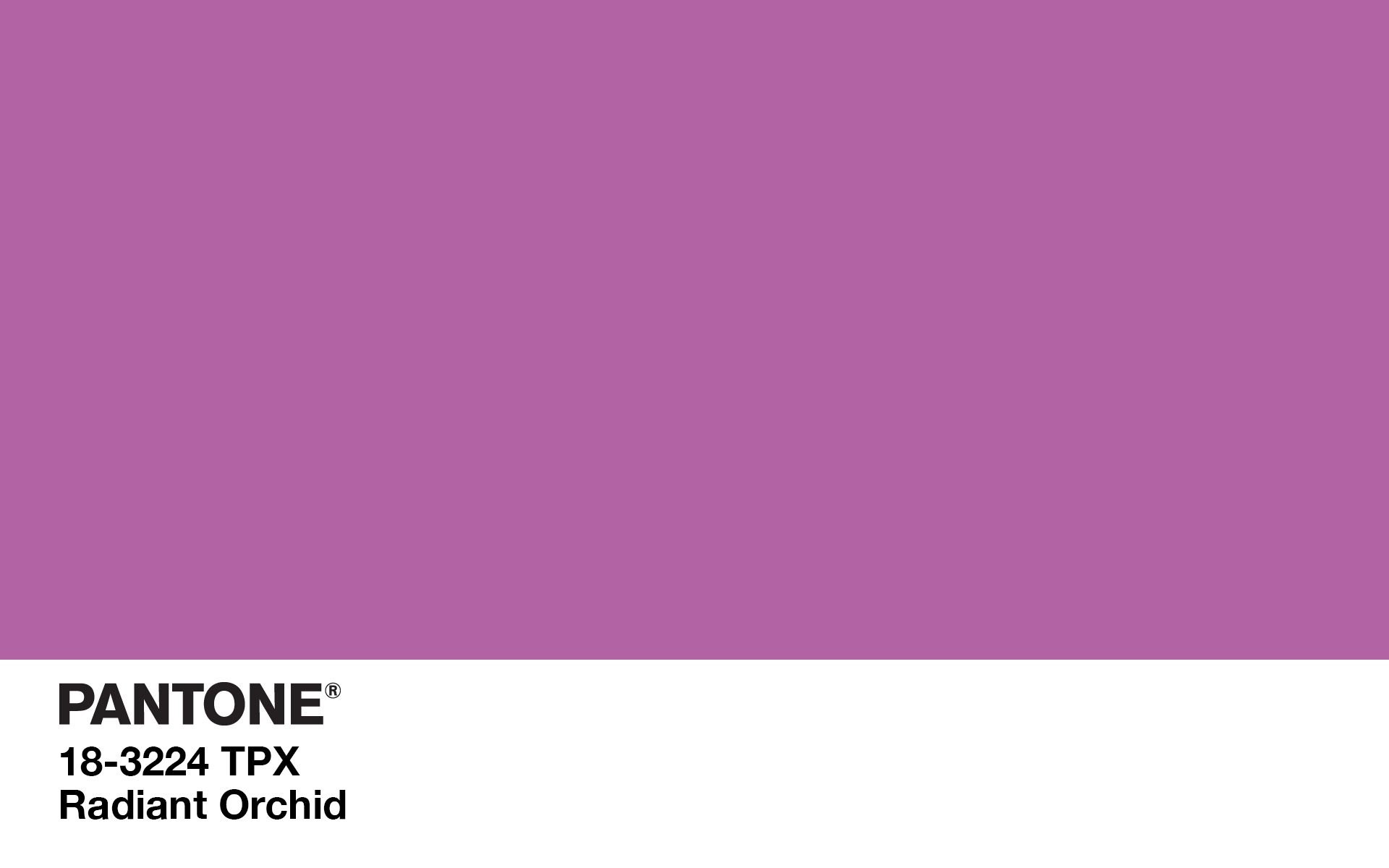 Radiant Orchid par Pantone : La couleur de l&#039;été 2014