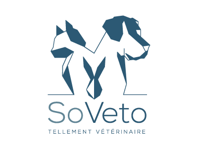 Santé Logo So Veto