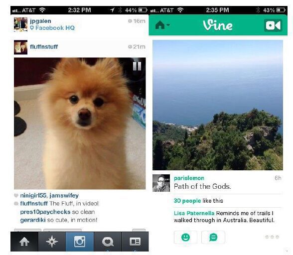 vine vs instagram